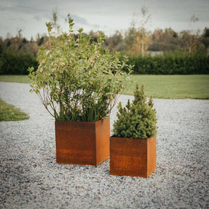 GrillSymbol Planters Medium GrillSymbol Fiora Corten Steel Planters in S, M & L